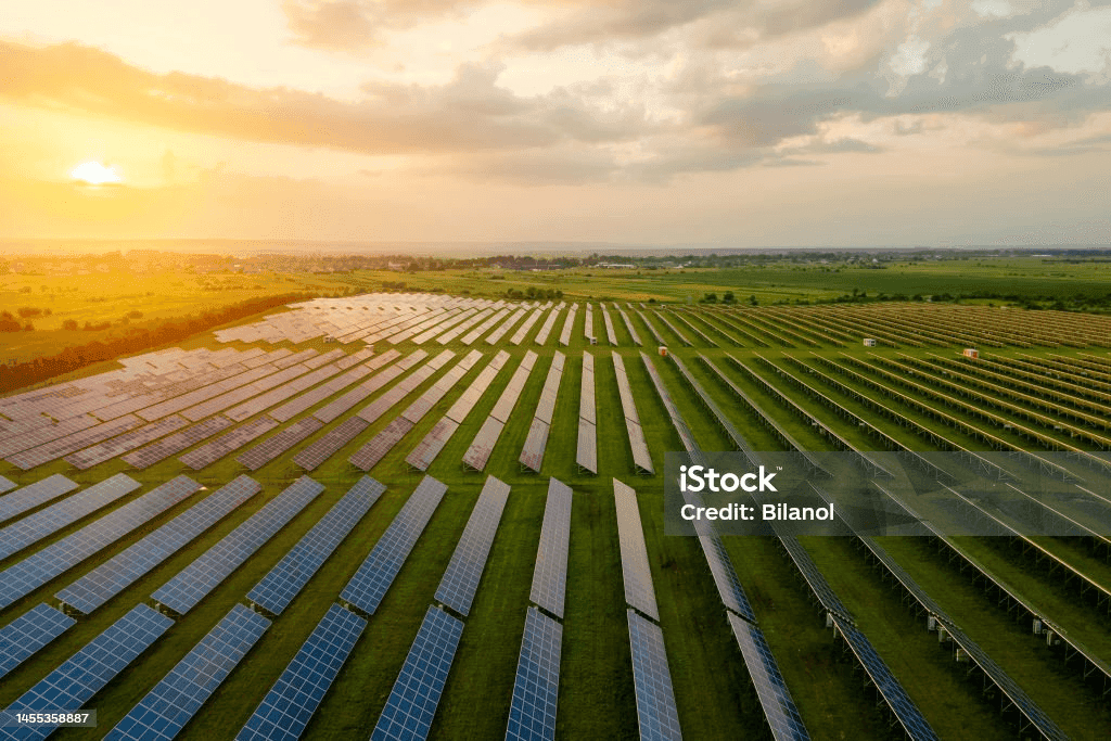 Sustainability Image