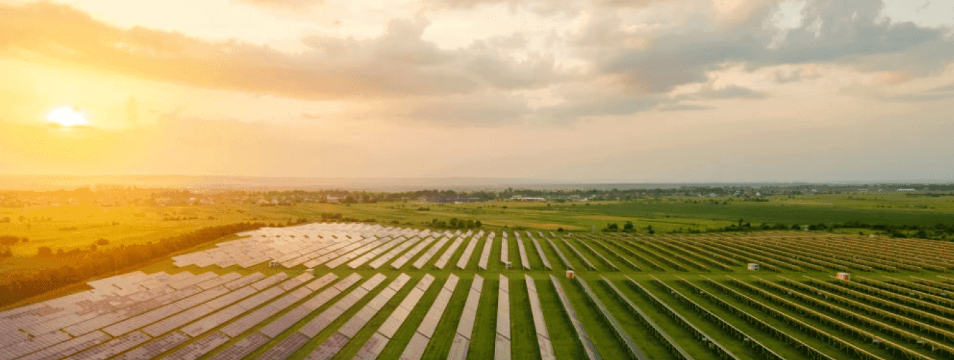 Sustainability Image